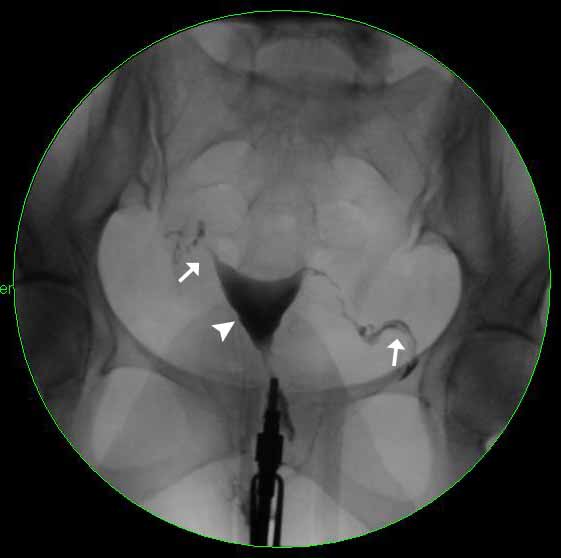 Untitled Document [www.stritch.luc.edu]